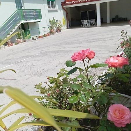 Gorizia Vacanze Appartamento In Villa Con Parcheggio エクステリア 写真