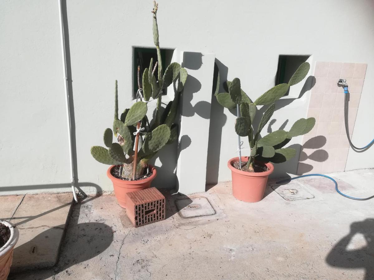 Gorizia Vacanze Appartamento In Villa Con Parcheggio エクステリア 写真