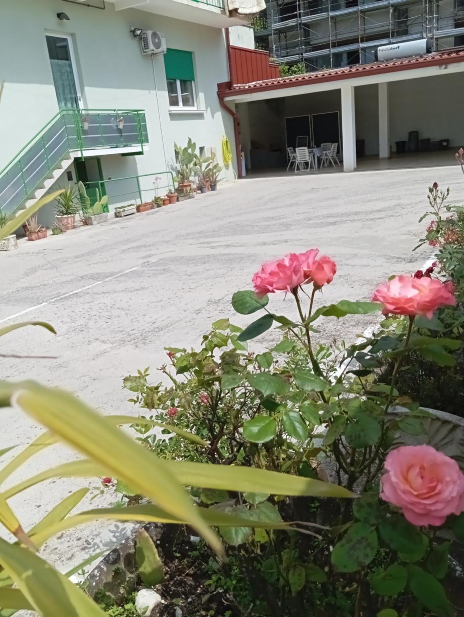Gorizia Vacanze Appartamento In Villa Con Parcheggio エクステリア 写真